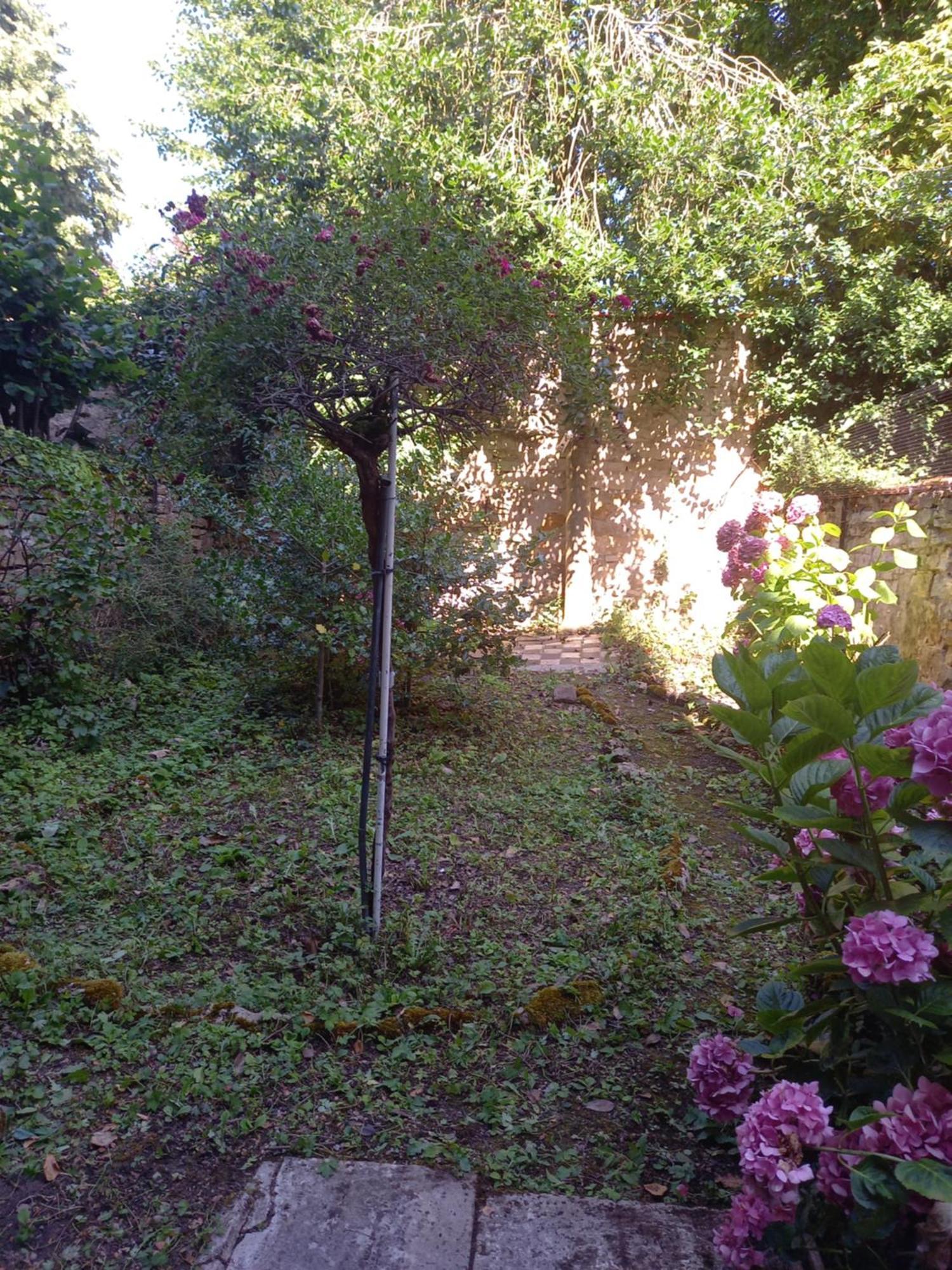 La Teranga De Kadi & Cathy, Avec Jardin Privatif Leilighet Nancy Eksteriør bilde