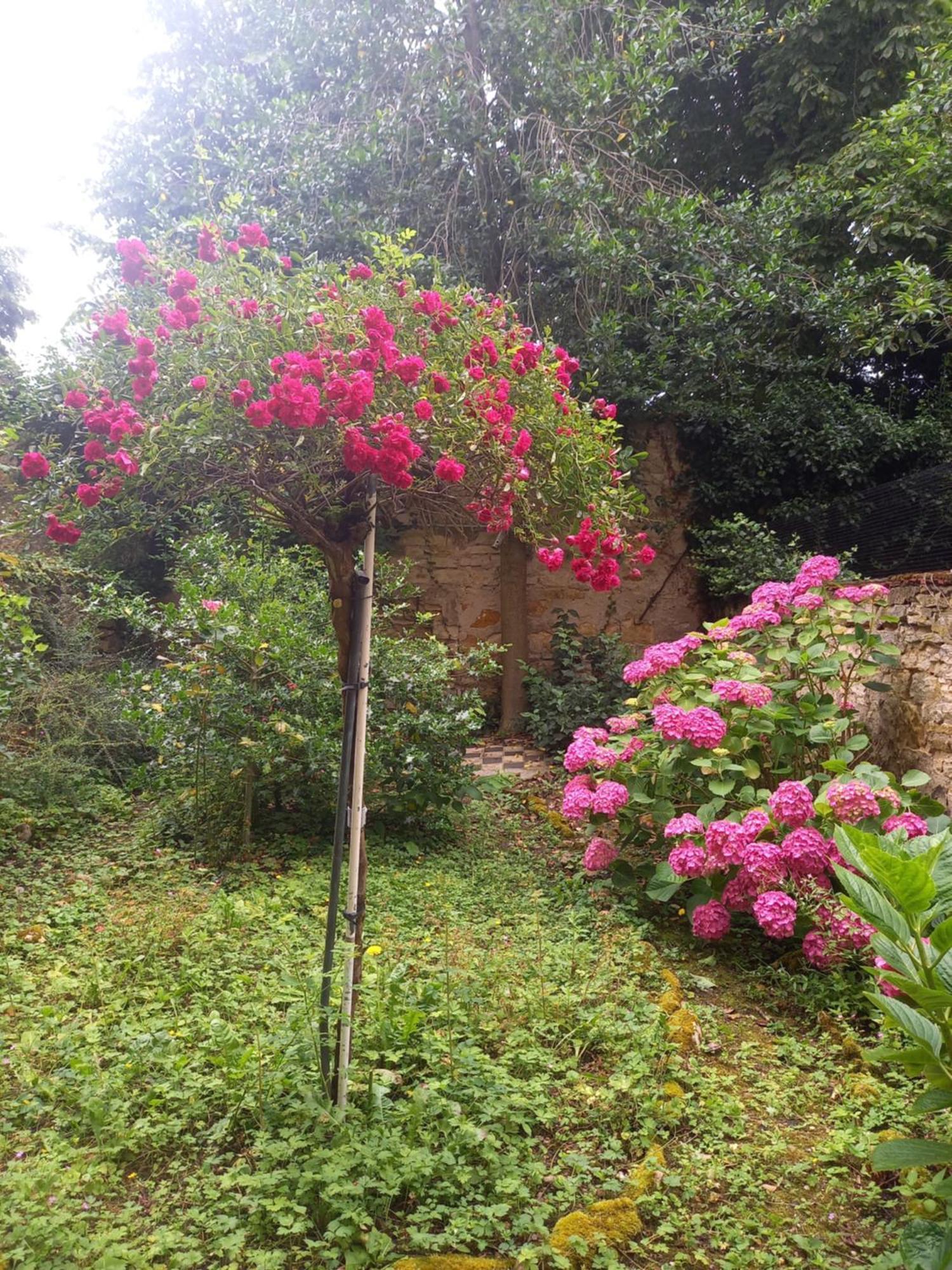 La Teranga De Kadi & Cathy, Avec Jardin Privatif Leilighet Nancy Eksteriør bilde